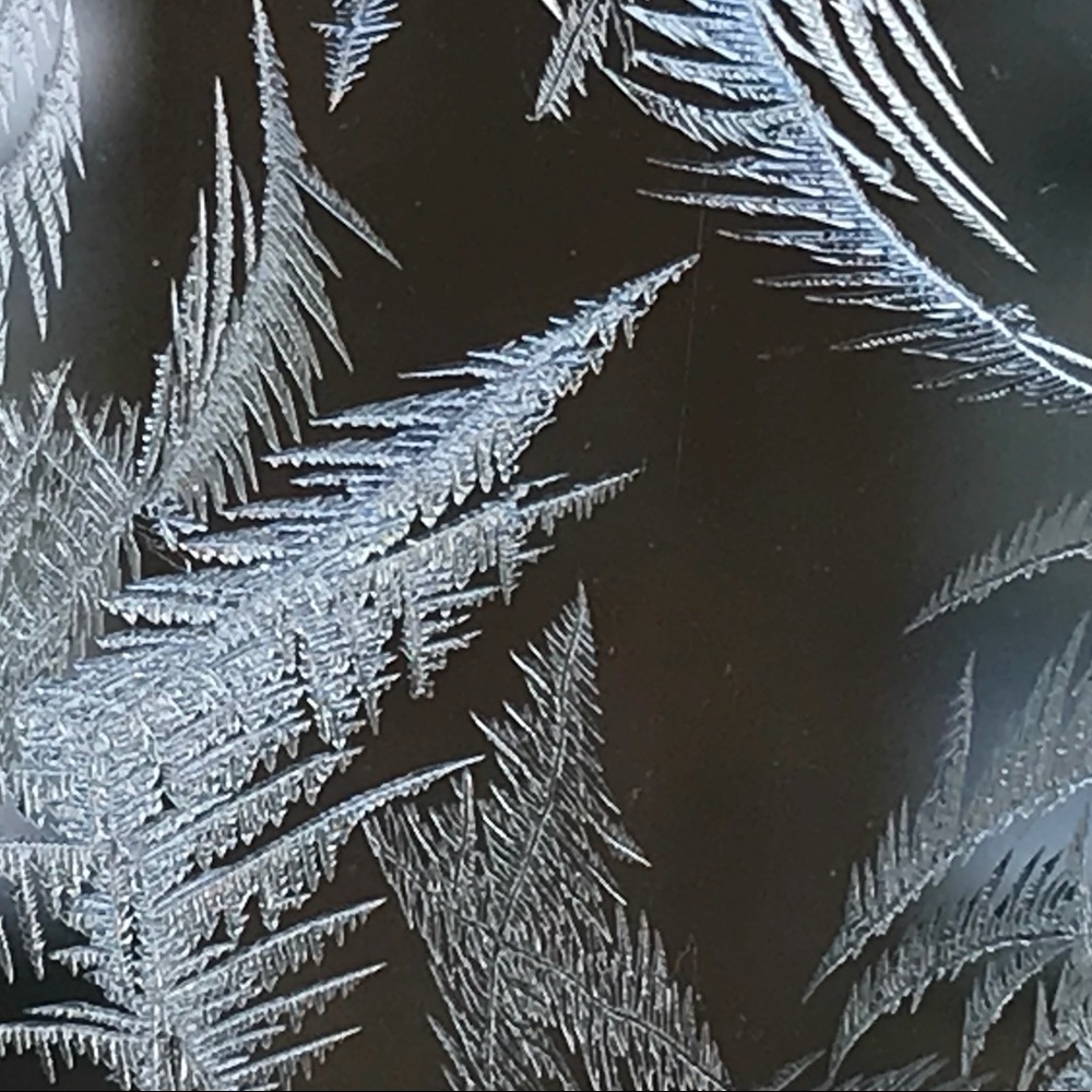 Meet your Posher, Karin